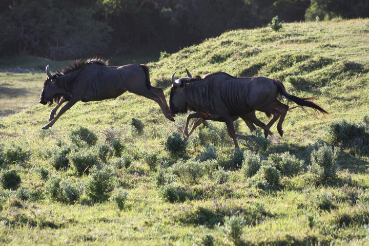 Commercial Property for Sale in Port Alfred Rural Eastern Cape